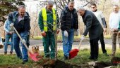 POSAĐENA STABLA U ZVEZDARSKOJ ŠUMI: Novi drvored za zeleniji grad