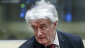 BRITANIJA NASTAVLJA TORTURU: Postoji opasnost da se Radovanu Karadžiću u zatvoru desi isto što i generalu Krstiću