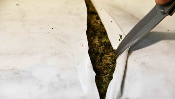 АКЦИЈА СИПА У ШАМЦУ: Заплењено 10 кг марихуане