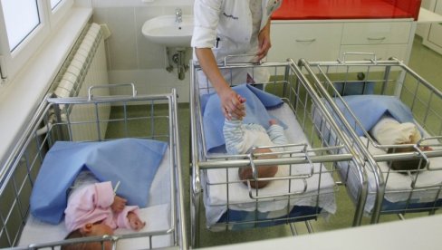PAR BLIZANACA, DVA BRATA: U Novom Sadu za dan rođeno 25 beba