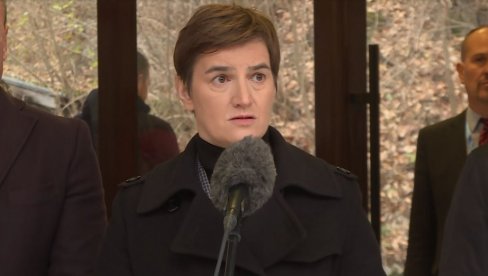 GRČIĆEVA OSTAVKA JE STVAR FORMALNOSTI Premijerka Ana Brnabić o problemima u TENT-u