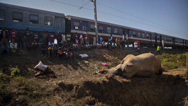 ТУЖАН ПРИЗОР: Воз убио два слона у Индији, мештани организовали специјалну сахрану (ФОТО)