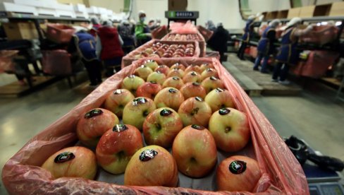 VESTI SA VELETRŽNICE: Jabuke najprodavanije, promet citrusa dupliran