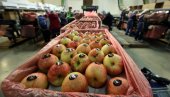 JABUKE NAJPRODAVANIJE NA KVANTAŠU: U ponudi i japanska jabuka