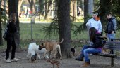 ДЕЦА И ЉУБИМЦИ ДЕЛЕ ТРАВЊАК: Подељена мишљења Београђана око подизања нових простора за љубимце у престоничким парковима
