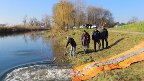 REKE I KANALI BOGATIJI RIBOM: U akciji „Voda Vojvodine“ pušteno 105.750 jedinki šaranske mlađi