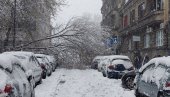 PALO DRVO U KOSOVSKOJ ULICI: Kolaps u centru Beograda (FOTO/VIDEO)