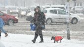 TO SE NIKAD NIJE DESILO: Sneg oborio više od 300 stabala i 40 bandera u Beogradu