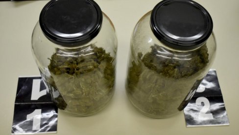 АКЦИЈА ПОЛИЦИЈЕ У ПИРОТУ: Заплењено 300 грама марихуане