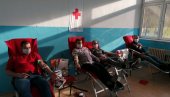 HUMANOST NA DELU: U Lebanu održana uspešna akcija dobrovoljnog davanja krvi