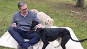VUČIĆ U IGRI SA POSEBNIM PRIJATELJIMA: Predsednik slobodno vreme provodi sa Šarkijem i Zadom, poklonom šeika Nasera (FOTO)