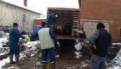 KUGA JOŠ PRISUTNA: Repopulacija svinja u Pirotskom okrugu još uvek nije dozvoljena