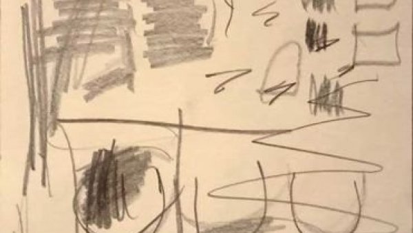 У РИТМУ НОВИХ ЦРТЕЖА: Андријана Богдановић - Нешковић излаже у Галерији СКЦ