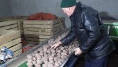 POVRTAR IZ LALIĆA NADMAŠIO HOLANĐANE: Pavel Valent po prinosu prešišao vodeće evropske proizvođače krompira