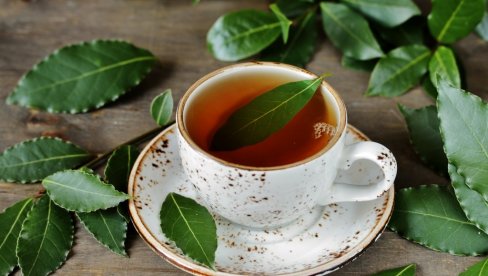 ПРЕХЛАДА И БРОНХИТИС ВИШЕ НИСУ ПРОБЛЕМ: Пијте чај од ловора, а облоге стављајте на плућа