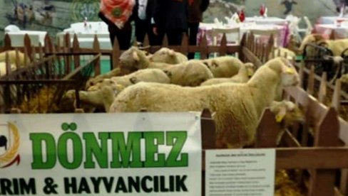 IZUZETNO BOGAT SAJAM U TURSKOJ: Poljoprivrednici iz Paraćina zadovoljni posetom