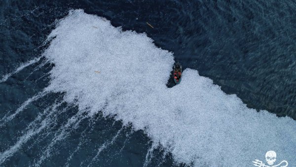 ЕКОЛОЗИ УЗНЕМИРЕНИ: Откривена рибља депонија у Атлантском океану (ФОТО)