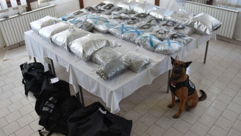АКЦИЈА ПОЛИЦИЈЕ КОД НОВОГ ПАЗАРА: Црногорци и Тутинци пали са 63 килограма марихуане (ФОТО)