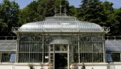 ЗАВОД ЗА ЗАШТИТУ СПОМЕНИКА ГРАДА БЕОГРАДА И БИОЛОШКИ ФАКУЛТЕТ: Заједничка брига о Ботаничкој башти