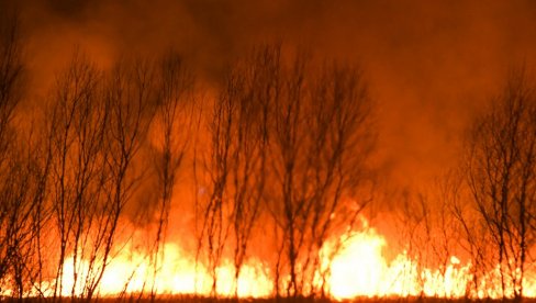 UGAŠEN POŽAR U FUTOGU: Sa vatrenom stihijom se borilo 17 vatrogasaca, ekipe celu noć bile na terenu (VIDEO)