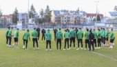 BEČLIJE NA POPRAVNOM:  Rapid Beč - Vitese
