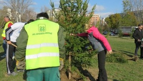 УРЕДИМО НАСЕЉА ЗАЈЕДНО: Почеле пријаве за акцију озелењавања у престоници