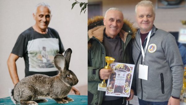 СИВИ БЕЛГИЈСКИ ОРИЈАШ ШАМПИОН СРБИЈЕ: Кунић освојио 96.5 бодова на државном првенству (ФОТО)