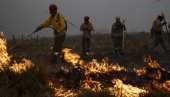 ТЕШКА СУША НАПРАВИЛА ХАОС: У пожару у Аргенитини изгореле стотине хектара земље (ФОТО)