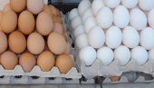 БРИТАНЦИ У ПРОБЛЕМУ: Купци јаја би се могли наћи пред празним полицама