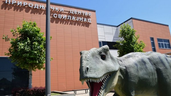 НОВЕ ИЗЛОЖБЕ У ПРИРОДЊАЧКОМ ЦЕНТРУ СРБИЈЕ: Небеско камење и Мосасаурус у Свилајнцу