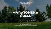 САДЊА МАРАТОНСКЕ ШУМЕ: Обележава се 35 година постојања Београдског маратона