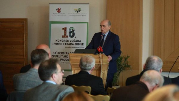 НАЈВИШЕ ВОЋАРАСКИХ ЗАДРУГА: Отворен 16. Међународни конгрес воћара и виноградара