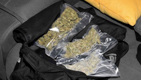 HAPŠENJE U SUBOTICI: Policija pronašla punu kuću marihuane i tableta