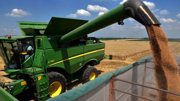 ИГРЕ ГЛАДИ: Како су светски фармери постали колатералне жртве санкција уперених против Русије