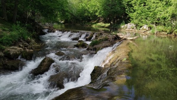ПРЕДОСМОМАРТОВСКИ ОБИЛАЗАК КАЊОНА ЦРНИЦЕ: За  чланице ПК „Јаворак“ превоз бесплатан