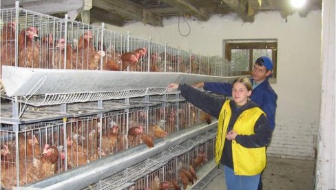 ŠKOLUJU ZA POSAO SADAŠNJOSTI I BUDUĆNOSTI: Poljoprivredna škola u Bačkoj Topoli čeka buduće veterinare