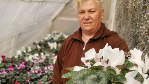 A ZA DAME CIKLAME: Među cvećarima u Jagodini,  uoči ženskog praznika
