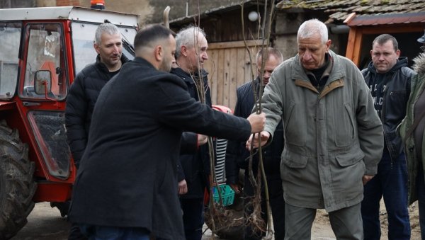 ЛИПА ЗА ВРШАЧКЕ ПЧЕЛАРЕ: Локална самоуправа поделила стотину садница медоносног дрвећа