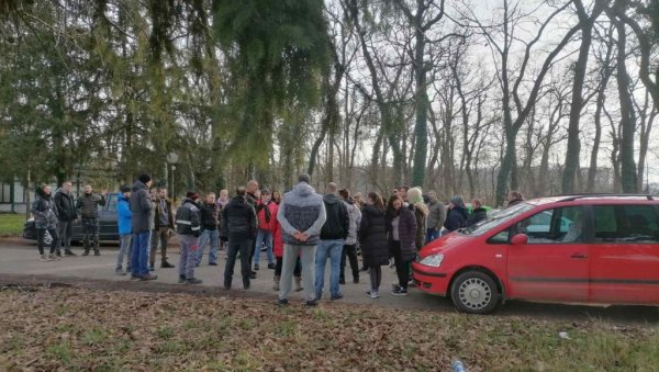 НЕ ЖЕЛЕ КЛОНОВЕ ТОПОЛЕ! Чувари природе у Бачкој Паланци протестују против садње евро-америчких садница