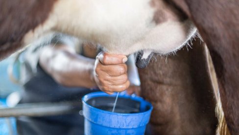 PRODUŽILI ROK: Javni poziv za dodelu podrške crnogorskim mlekarima