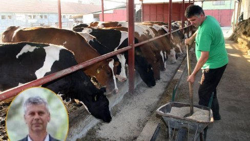 СТОЧАРИМА ПРЕКИПЕЛО: Произвођачи предлажу већу откупну цену,  мању маржу и ПДВ на млечне производе