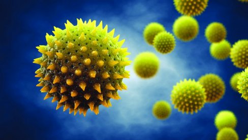 LOŠA VEST ZA ASTMATIČARE: Sezona alergija na polen duža i do 19 dana zbog globalnog otopljavanja