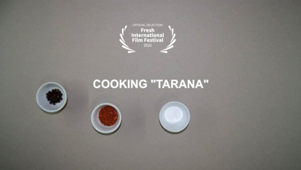 КУВАЊЕ ТАРАНЕ У ИРСКОЈ: Филм младих врањских аниматора у званичној селекцији међународног фестивала