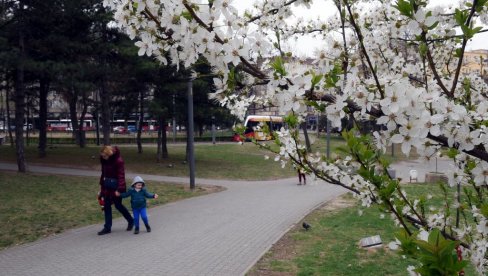 ВРЕМЕНСКА ПРОГНОЗА ЗА 5. АПРИЛ: Враћа се пролеће, чека нас променљиво топло-хладно време, мраз јутарњи, а током дана и до 19 степени