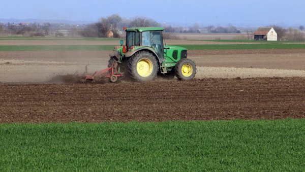 БЕЗ ЗАРАДЕ ПРЕД ПРОЛЕЋНУ СЕТВУ: Ратари би хтели да се скине забрана извоза пшенице, кукуруза и уља