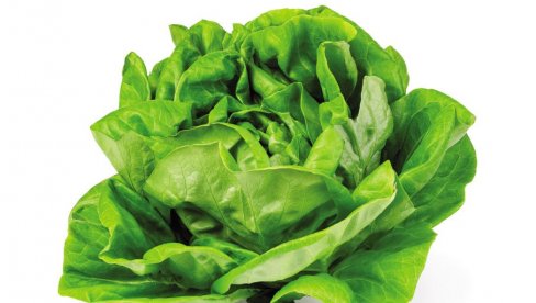 MUČI VAS PROLEĆNI UMOR? Jedite zelenu salatu - daje energiju, čuva srce, a spavaćete lepše