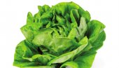МУЧИ ВАС ПРОЛЕЋНИ УМОР? Једите зелену салату - даје енергију, чува срце, а спаваћете лепше