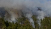 I MONASI GASE POŽAR: Vatrena stihija kod Studenice, gori borova šuma i rastinje, vetar otežava borbu sa plamenom (FOTO/VIDEO)