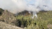 ВАТРЕНА СТИХИЈА ПОД КОНТРОЛОМ Пожар повише варошице Ушће захватио више од 20 хектара шуме
