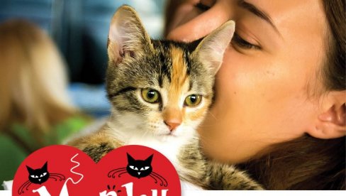 МРЊАУ РЕВИЈА: У суботу љубитељи мачака биће у прилици да удоме и уживају у изложби мачака